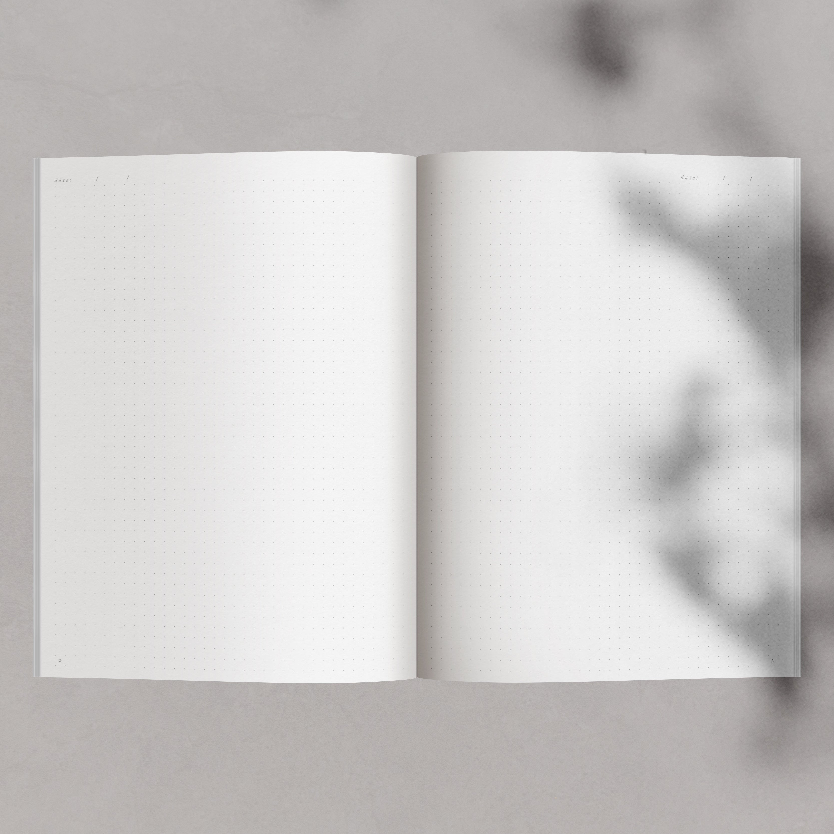 B5 - COMPANION BOOKLET - DOT GRID EDITION